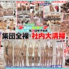 SOD女子社員25名 全裸大そうじ