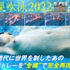 競泳日本代表選手 新海咲 AV DEBUT【圧倒的4K映像でヌク！】 - サンプル画像 - 4