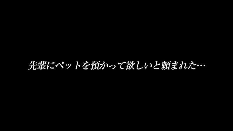 日泉舞香 先輩に預かってほしいと頼まれたペットはイラマ好きのM女…。ビールとわかめおにぎりも好き…無口な舞香と無口なボクの一泊二日の同居性活 - サンプル画像 - 1