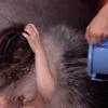 終わらないイジメに限界を迎えた陰キャ男達の逆襲 されたイジメと同じことで●すカースト上位J●転落レ●プ 末広純 - サンプル画像 - 11