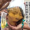 10年に一人の逸材！男尿に溺れるドスケベ奥さん 壇涼果 - サンプル画像 - 8